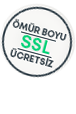 Free SSL Icon