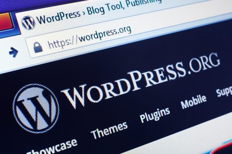 Wordpress Nedir Neden WordPressi Tercih Etmelisiniz