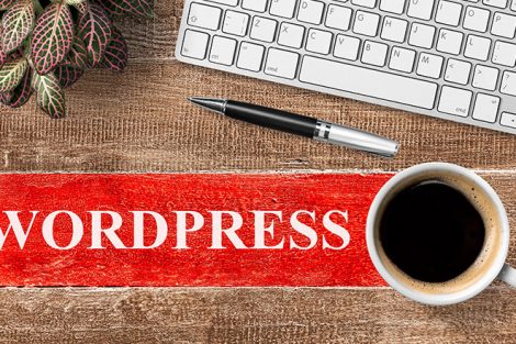 En İyi WordPress Güvenlik Eklentileri 2024