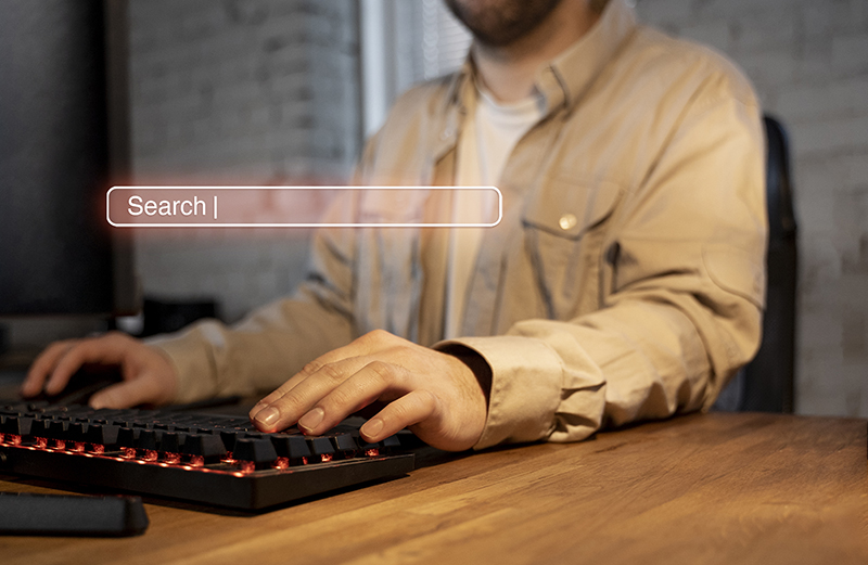 Domain Nasıl Alınır?