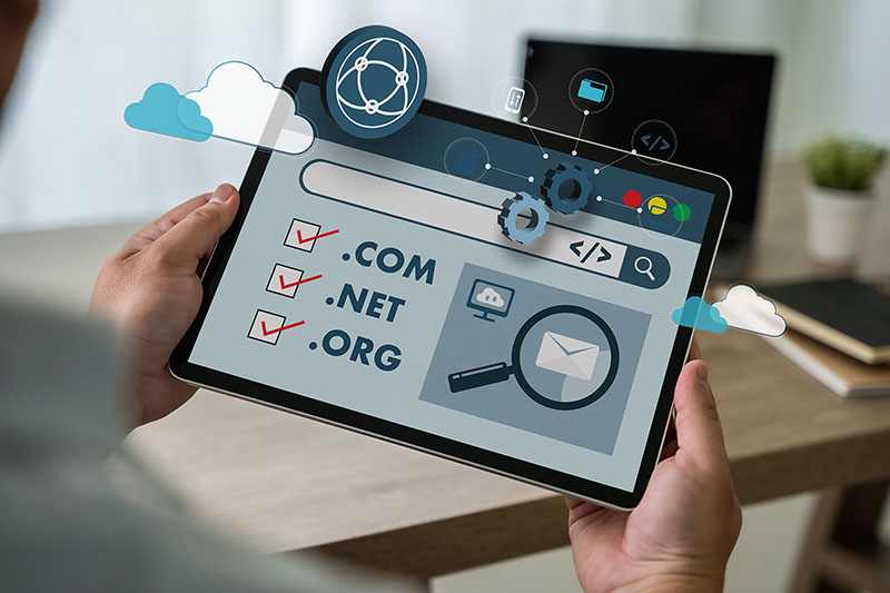 Domain Sahibi Olarak Yapabilecekleriniz